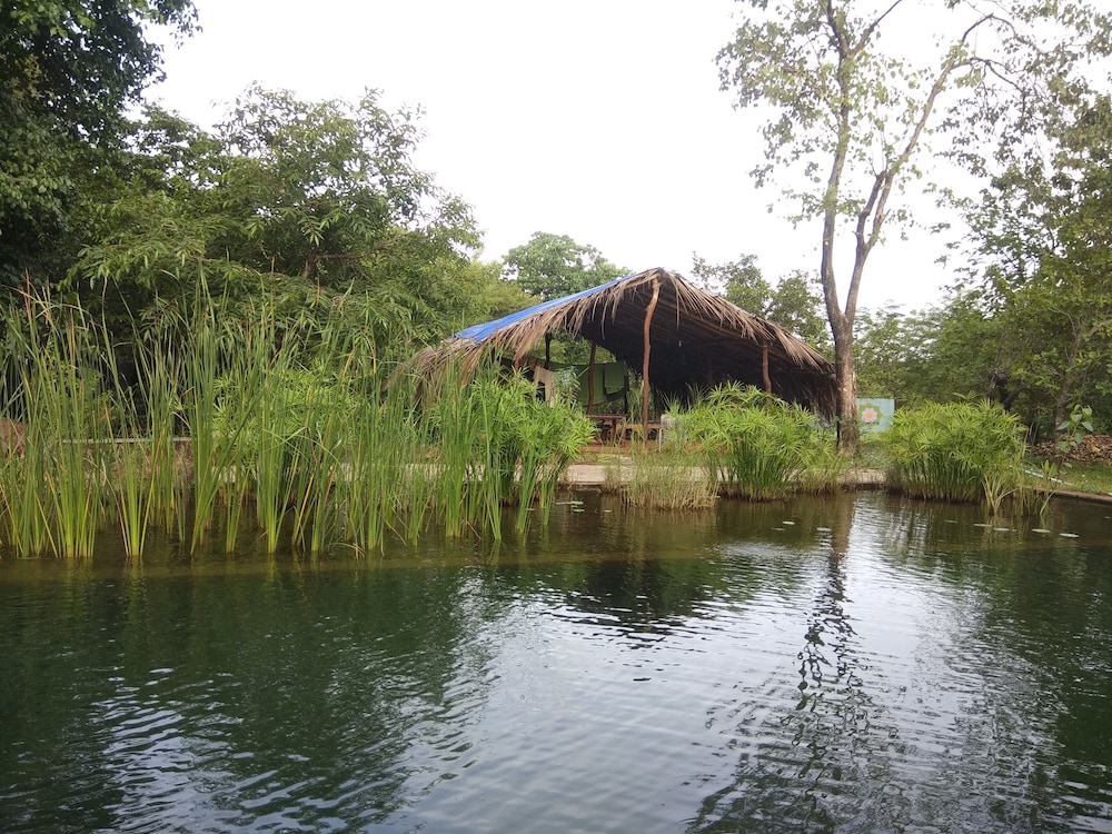 Dudhsagar Farmstay Goa