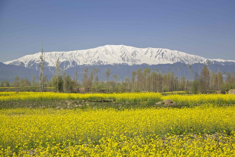The Khyber Himalayan Resort & Spa
