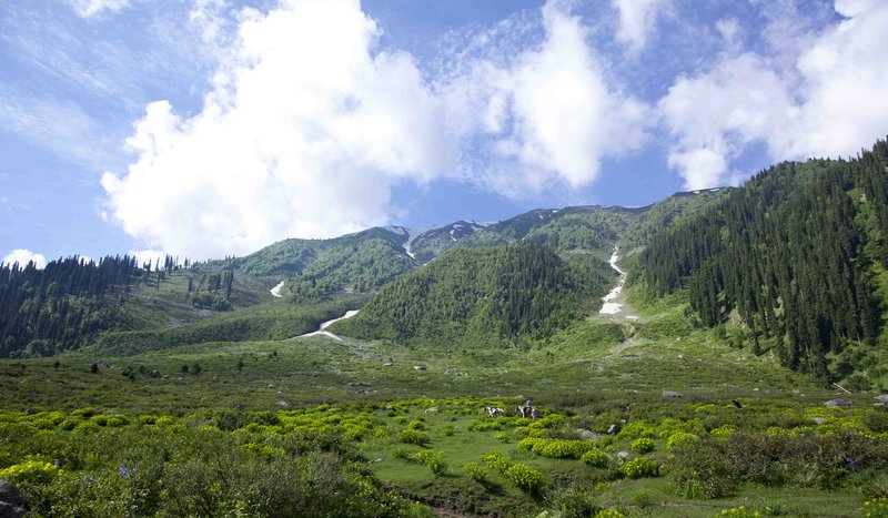 The Khyber Himalayan Resort & Spa