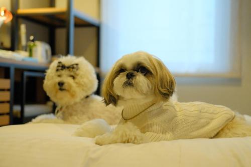 ICI HOTEL Asakusabashi