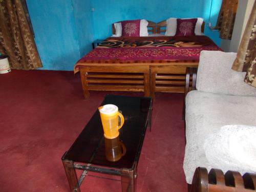 HOTEL RAJMAHAL ( Heritage )