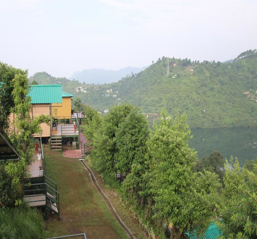 Nest and Hives Resort