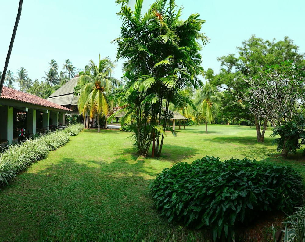 The Palms