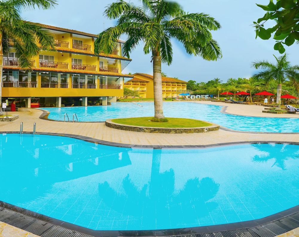The Palms