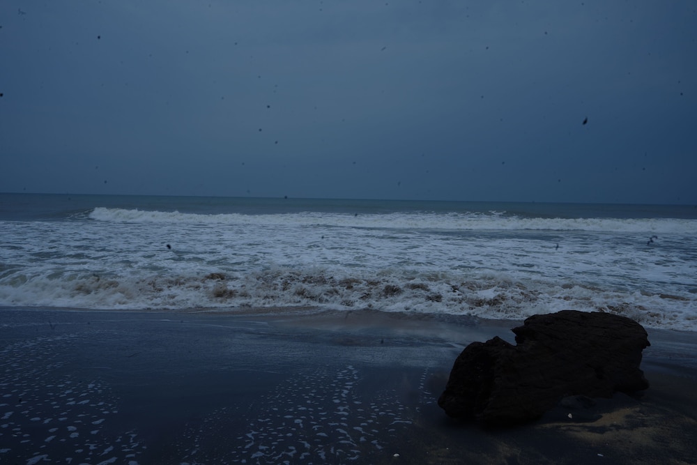 Coral Beach Resort