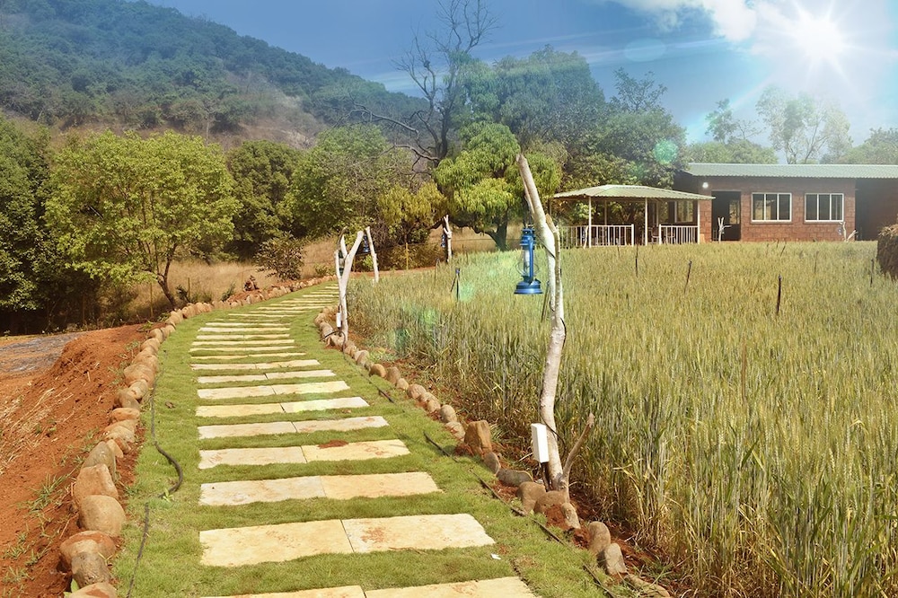 Jungle Valley Agriculture Resort