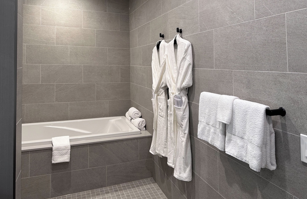 SpringHill Suites by Marriott Chicago Chinatown