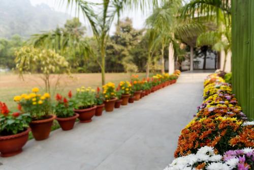 The Greenwood Resort,Guwahati