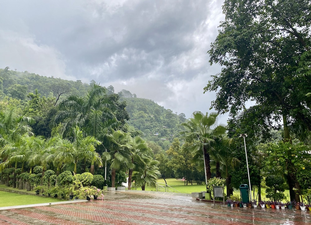 The Greenwood Resort,Guwahati