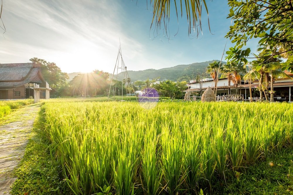 Naina Resort & Spa