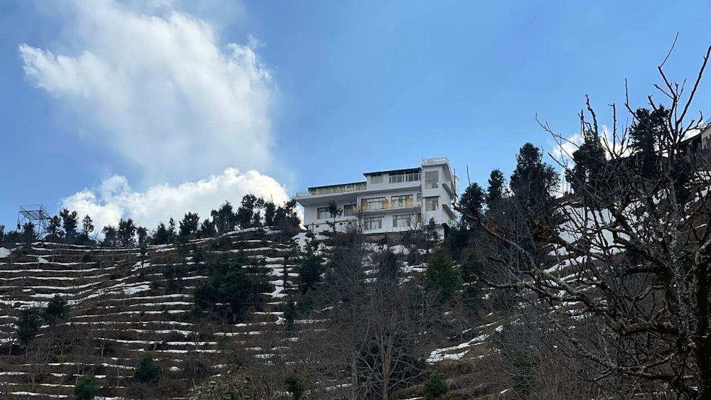 The Royals Apricot Garden