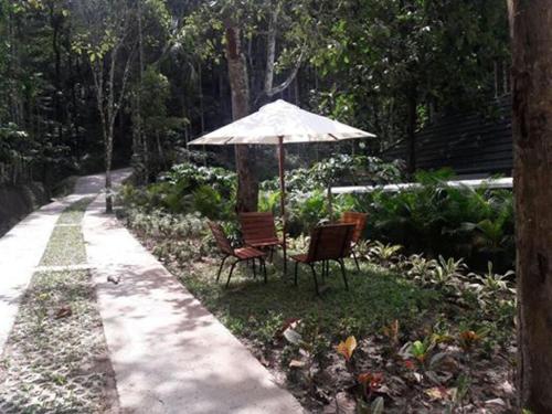 Wayanad Coffee Trail Resort
