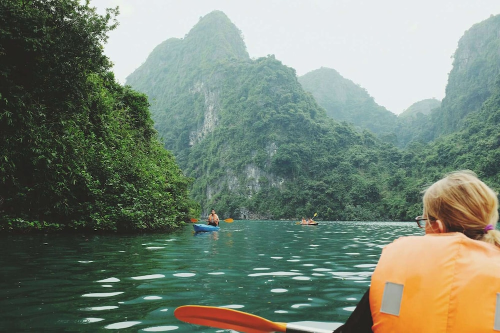 Arcady Boutique Cruise