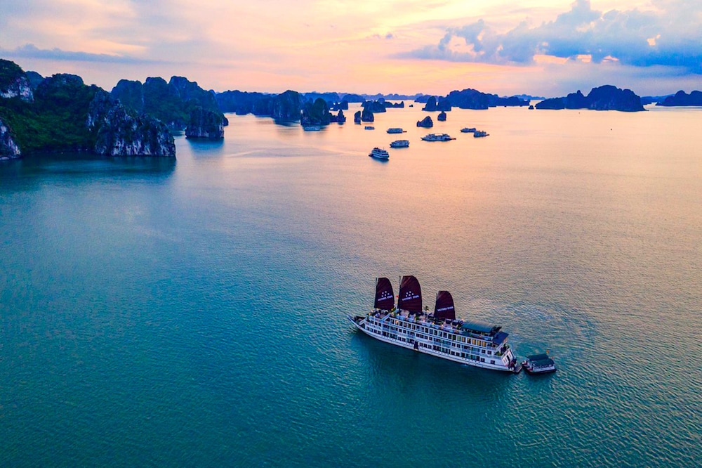 Arcady Boutique Cruise