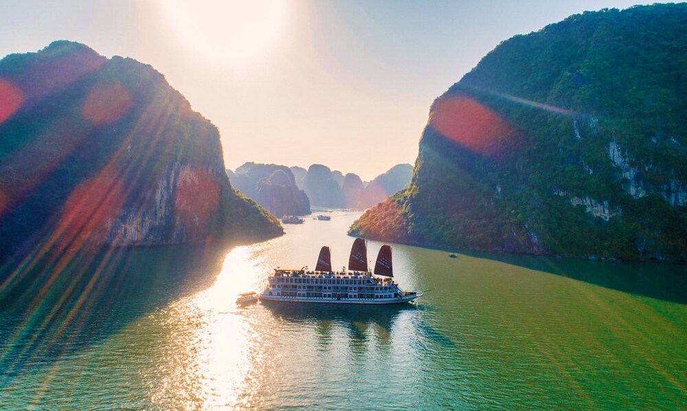 Arcady Boutique Cruise
