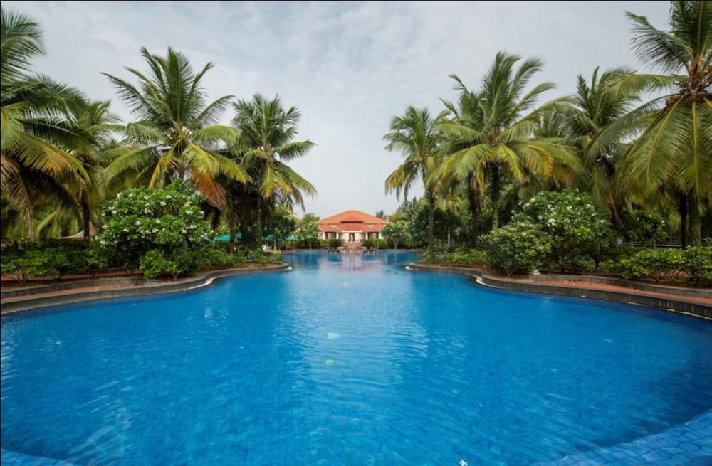 Bonjour Bonheur Ocean Spray