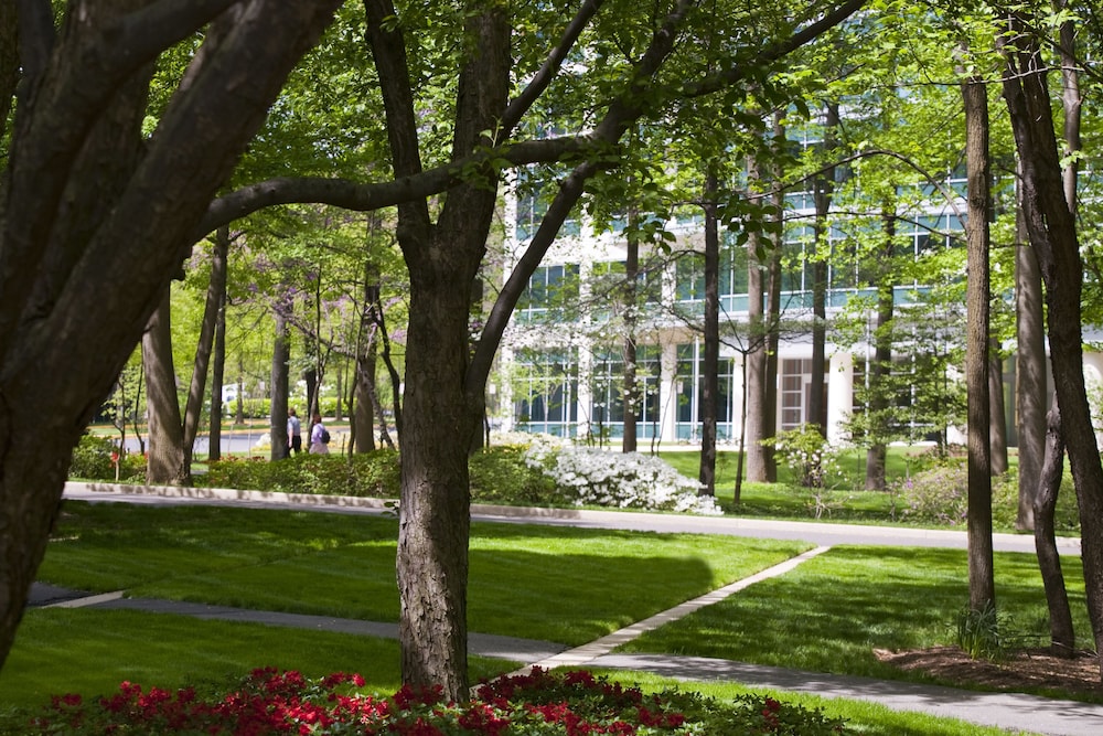 Falls Church Marriott Fairview Park