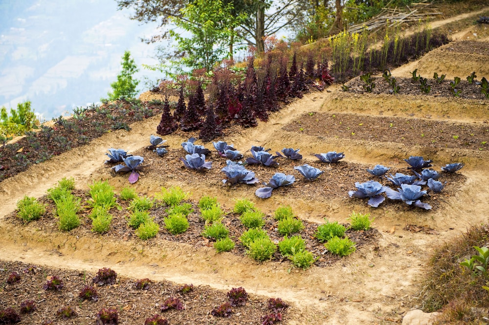 Dwarika's Sanctuary - A Himalayan Wellness Retreat