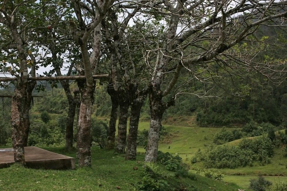 Wild Elephant Eco-Friendly Resort