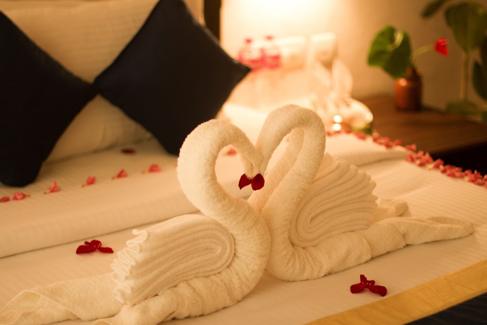 Kshetra Ayurveda & Yoga Retreat