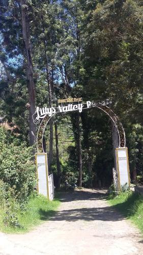 Lilly's Valley Resort