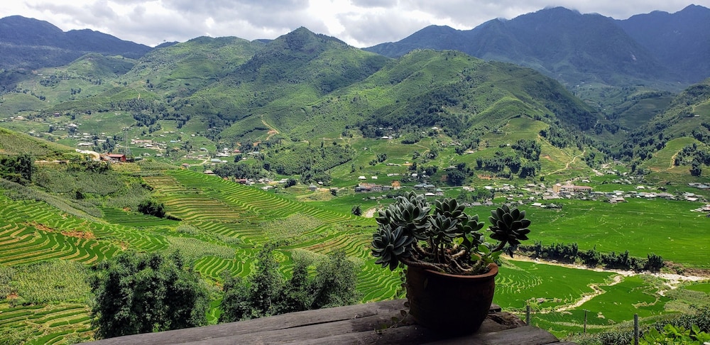 Eco Palms House - Sapa Retreat