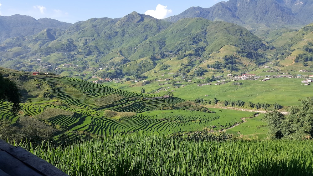 Eco Palms House - Sapa Retreat