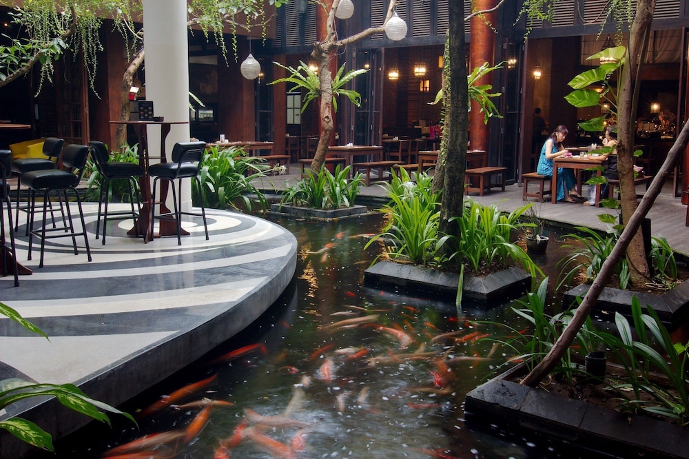 Swiss Belhotel Rainforest