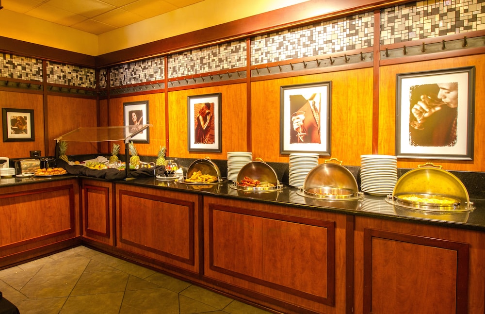 Holiday Inn Chicago O'Hare Area by IHG