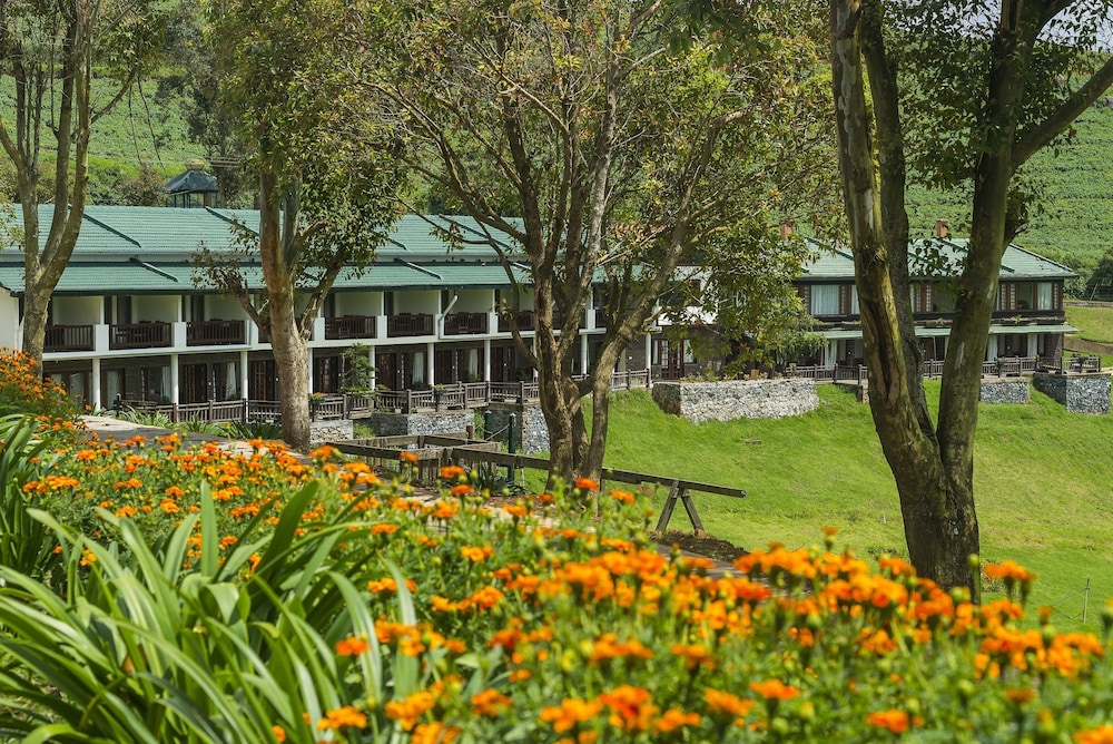 Destiny - The Farm Resort