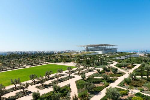 Blue Ark Athenian Nest