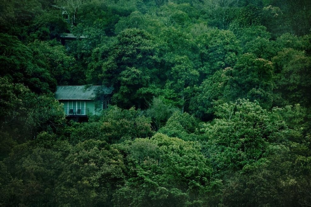 Wayanad Wild - Rainforest Lodge by CGH Earth