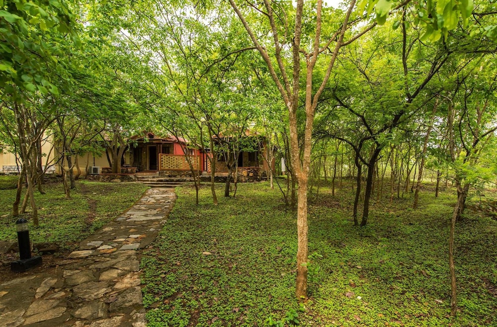 The Windflower Jungle Resorts & Spa Bandipur