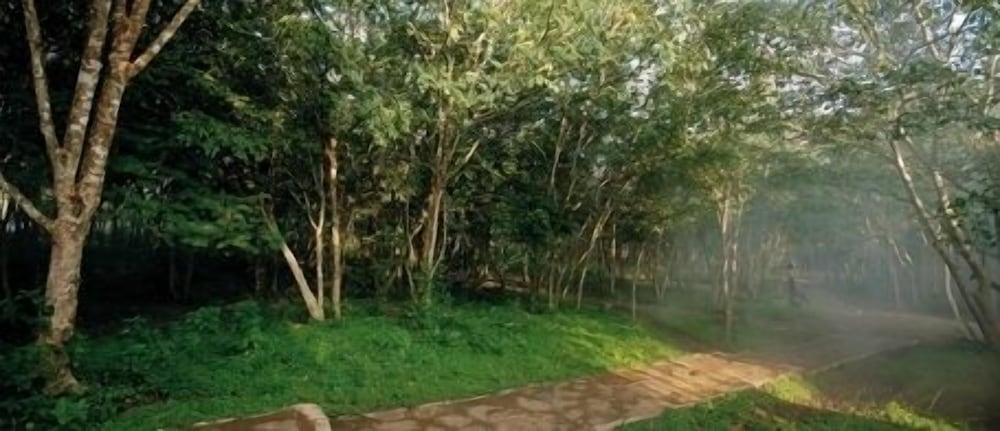 The Windflower Jungle Resorts & Spa Bandipur