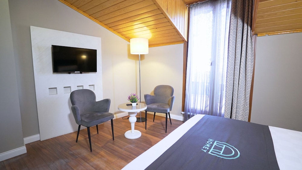 Homey Airport Hotel