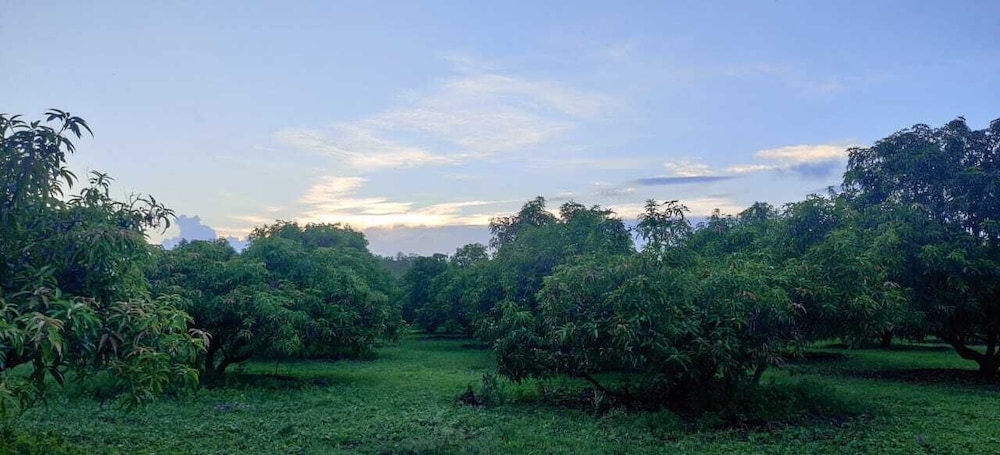 1 Br Boutique Stay In Bambohod Check Post Sasan Gir By Guesthouser