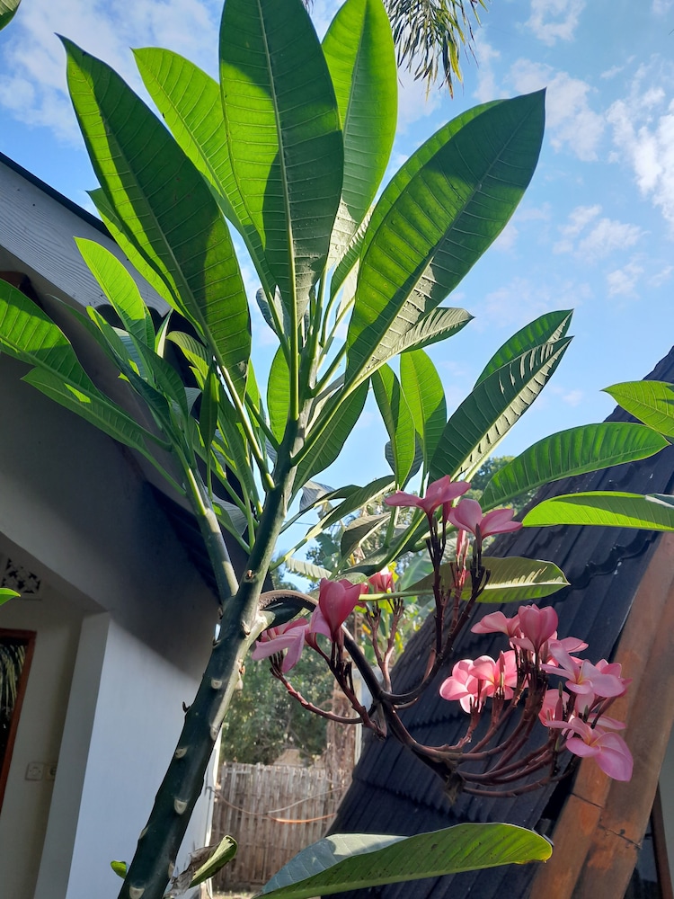 Florine's Garden