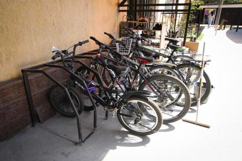 Apple Hostel Bishkek