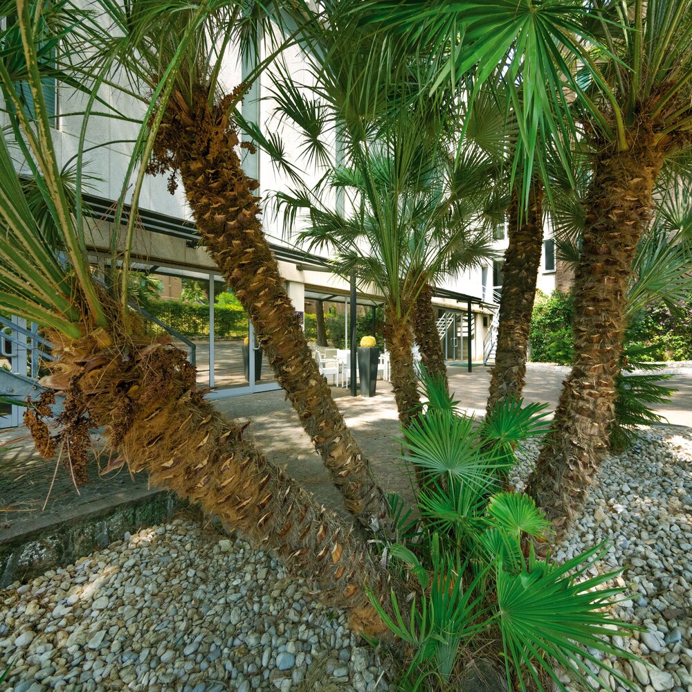 Hotel Villa Maria Regina