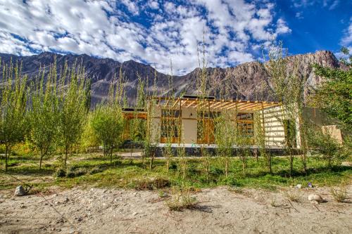 Chalet Seabuckthorn Hunder Nubra
