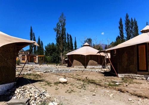 Chalet Seabuckthorn Hunder Nubra