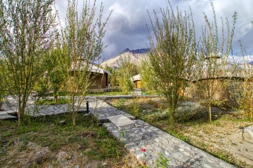 Chalet Seabuckthorn Hunder Nubra