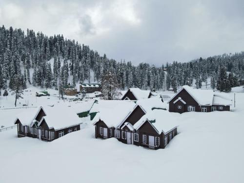 Gulmarg Woods By Stay Pattern