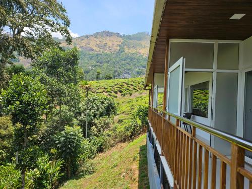 MistyBush Cottages and Resorts