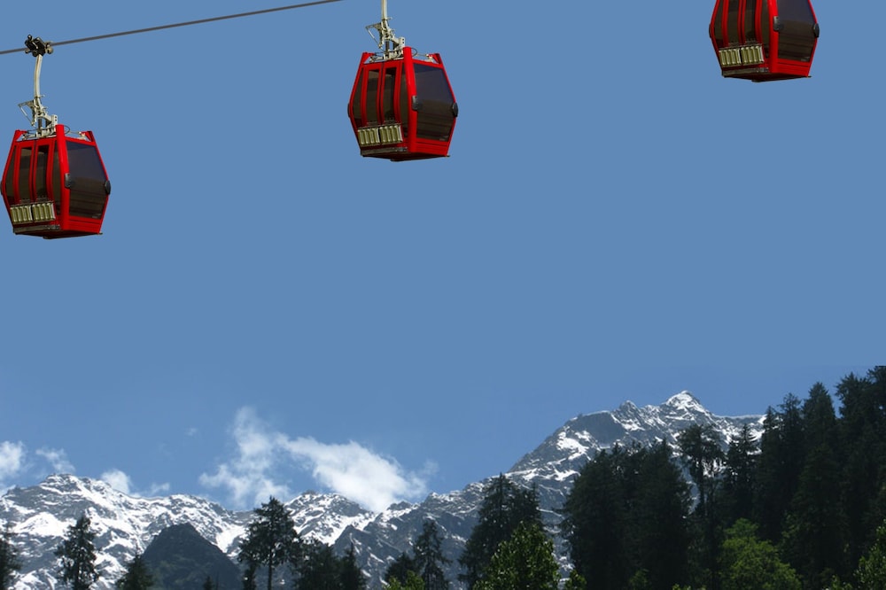 Hotel Vintage Manali