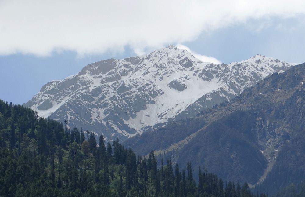 Hotel Vintage Manali
