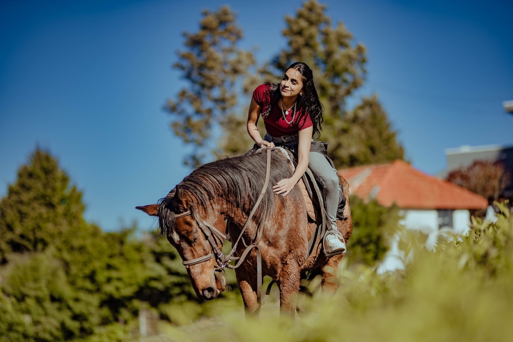 Green Nest Resort Ooty