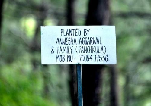 Kasauli Hills Resorts