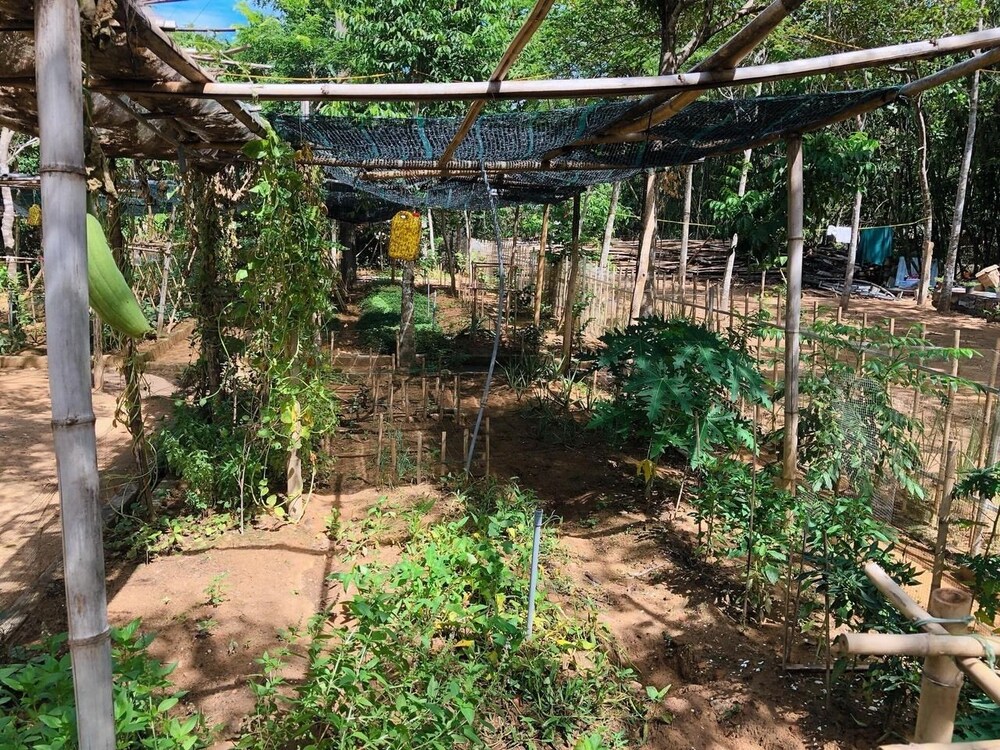 Hue Lotus Homestay