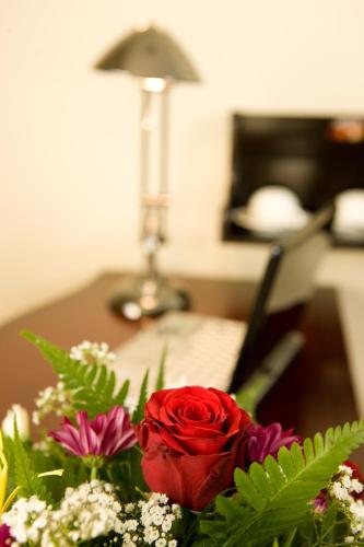 Hotel Muscat Holiday